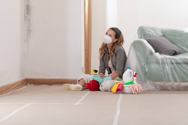 Reliable Mold Remediation contractor in Fallston, MD by 24 Hour Mold Removal