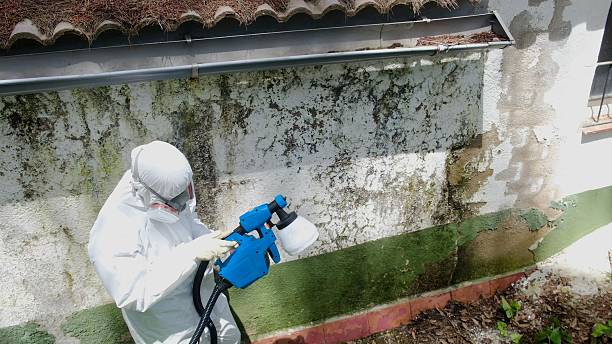 Top rated local Mold Remediation specialists in Fallston, MD